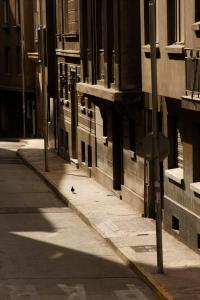 a bird is walking down a city street at Pascua 2-baño compartido in Santiago