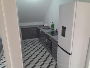 a kitchen with a sink and a refrigerator at Apartman Maga 2 in Gnjilišta
