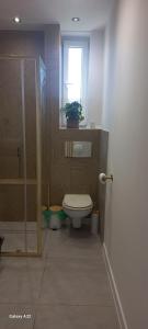 a bathroom with a toilet and a shower with a plant at Apartament Wiejski Raj in Kozy +8 photos