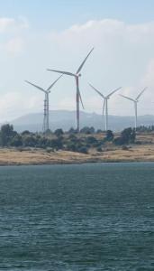 a group of windmills in a field with water at Healing Hands in Merom Golan