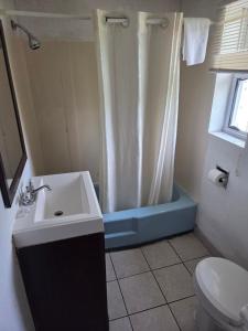 a bathroom with a shower with a sink and a toilet at Huntingdon Inn in Irwin