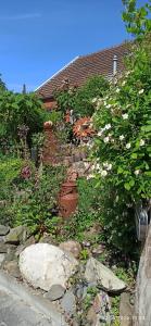 a garden with flowers and rocks in front of a house at Up Höcht in Osteel +5 photos