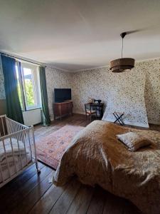 a bedroom with a large bed and a television at La Ferme de Tréfumel in Tréfumel