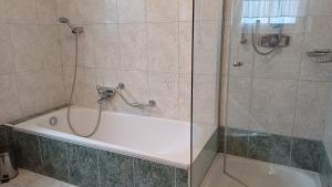 a bathroom with a shower and a bath tub at Haus Margit in Schlierbach +29 photos