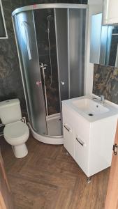 a bathroom with a shower and a toilet and a sink at Pura Vida Mountain Glamping-tiny houses and tents in Moieciu de Jos