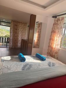 a bedroom with two blue pillows on a bed at Breeze Heven Cabana in Matale