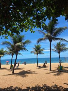 a group of palm trees on a beach with the ocean at Desing Studio, luxo e Moderno Vila Velha-ES in Vila Velha