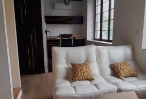 a white couch in a living room with two pillows at Autan-tic in Castres