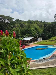 a swimming pool with a gazebo and flowers at Finca Agroturística La pradera in Acacías
