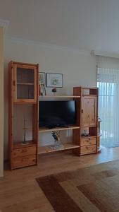 a living room with a large television and wooden entertainment center at Haus Margit in Schlierbach