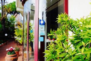 two pictures of a store with potted plants at Arcangelo Meublè in Rimini