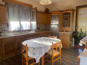 a kitchen with a table with chairs and a refrigerator at VILLA ANTONIS in Kos