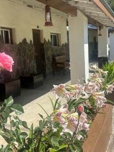 a garden with pink flowers in front of a house at #6- Rancho Meling in Camalú