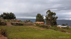 a house on a hill next to the water at Hospedaje Mamani de isla amantani in Puno