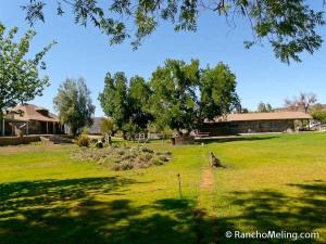 a field with trees and a building in the background at #5 Rancho Meling in Camalú
