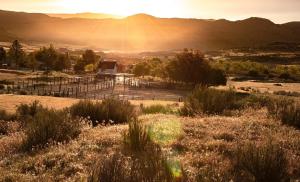 a view of a field with the sun in the background at #5 Rancho Meling in Camalú