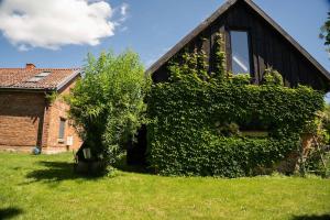 an ivy covered house with a tree in front of it at Płowce 7 - Mazurski dom z basenem i SPA in Płowce