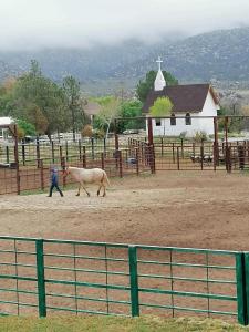 a man walking a horse in a field with a church at #4- Rancho Meling in Camalú