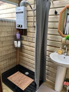 a bathroom with a shower and a sink at The Cabin in the Woods in Dublin +60 photos