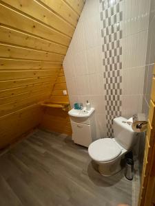 a bathroom with a toilet and a sink at Gawra Werlas in Werlas +26 photos