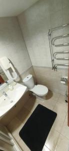 a bathroom with a toilet and a sink and a mirror at Alka guest house in Palanga