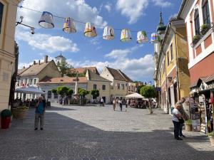 a street in a town with people walking around at Macskakő Apartman in Szentendre
