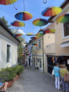 a group of people walking down a street with umbrellas at Macskakő Apartman in Szentendre +5 photos