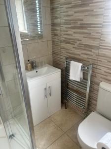 a bathroom with a toilet and a sink and a shower at The Boutique Bungalow in Bundoran +69 photos