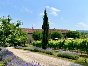 a garden with purple flowers and a building at Casa Perazzolo in Montecchia di Crosara
