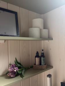 a shelf with two bottles of soap and a mirror at Tiny house U Lasiček in Perštejn