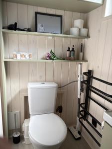 a bathroom with a toilet and a tv on a shelf at Tiny house U Lasiček in Perštejn +23 photos