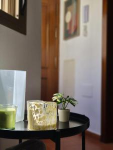 a black table with a potted plant on it at Apartamento click center in Ronda