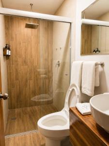 a bathroom with a shower and a toilet and a sink at Palacio de las Rosas in Durango
