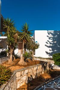 a group of palm trees in front of a building at Surfing Beach Village Paros in Santa Maria