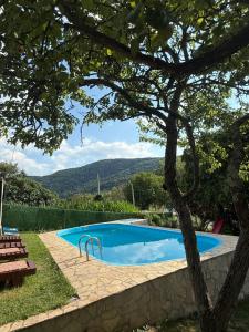 a swimming pool in a yard with a tree at Vikendica Andrija Drina in Gvozdačko Polje +54 photos