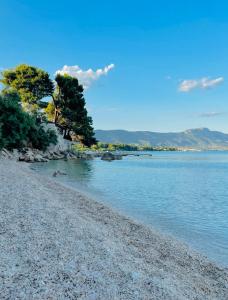 a rocky beach with trees and the water at Apartments Kristal in Kaštela