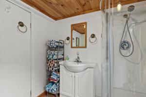 a bathroom with a sink and a shower at Brigus Cottage Parking, Fire Pit & Garden in Brigus +41 photos