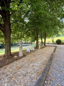 a park with a bench and a fountain and trees at Manoir Borzeux in Stavelot