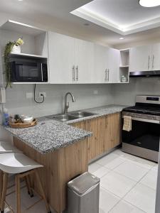 a kitchen with a sink and a counter top at The Liras Oasis in Santiago de los Caballeros
