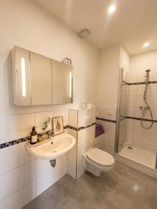 a bathroom with a sink and a toilet and a shower at Modernes Apartment mit Küche in Groitzsch in Groitzsch