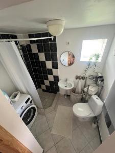 a small bathroom with a toilet and a sink at 1 room apartment with its own yard in Pärnu +33 photos