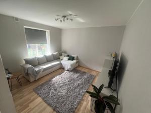 a living room with a couch and a rug at 1 room apartment with its own yard in Pärnu