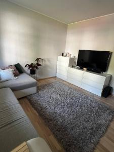 a living room with a tv and a couch and a rug at 1 room apartment with its own yard in Pärnu