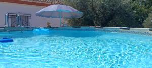 a large swimming pool with an umbrella and a swimming pool at Villa Oasis in Los Gallardos