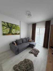 a living room with a gray couch and a window at Apartment in Ploiești 4 in Ploieşti