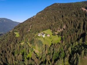 an aerial view of a house in the middle of a mountain at RABENSTEINER - Panorama Apartments - Bad Kleinkirchheim in Bad Kleinkirchheim