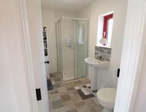 a bathroom with a shower and a toilet and a sink at Historic Louisburgh Farm Cottage in Louisburgh