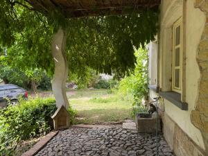 a cat sitting under a tree next to a house at Chlum 1 in Chlum +20 photos
