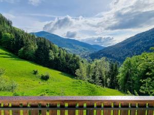 a wooden bench sitting on top of a green field at RABENSTEINER - Panorama Apartments - Bad Kleinkirchheim in Bad Kleinkirchheim +14 photos