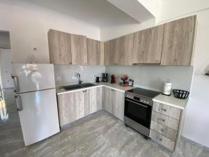 a kitchen with wooden cabinets and a white refrigerator at Anemomilos in Samos